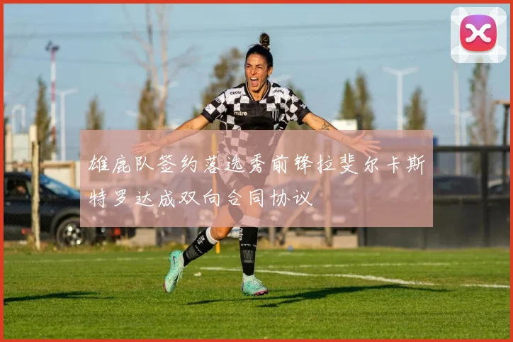 雄鹿队签约落选秀前锋拉斐尔卡斯特罗达成双向合同协议
