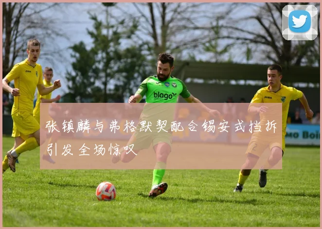 张镇麟与弗格默契配合锡安式挡拆引发全场惊叹