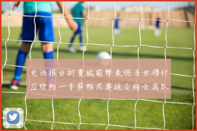 电讯报分析曼城前锋表现马尔穆什应续约一季萨维尼奥适合转会离队
