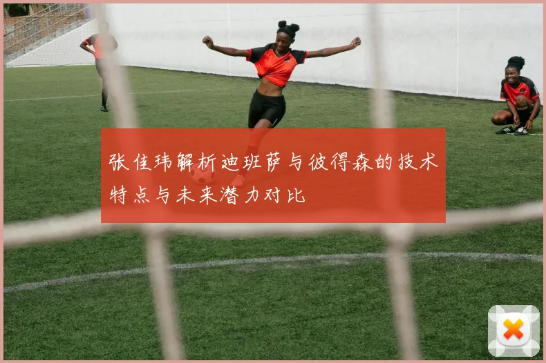 张佳玮解析迪班萨与彼得森的技术特点与未来潜力对比