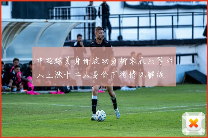 申花球员身价波动分析朱辰杰等六人上涨十二人身价下滑情况解读